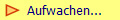   Aufwachen...